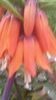 20140425_194023