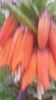20140425_194026