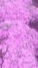 20140425_194052