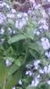 20140425_194120