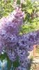 20140506_185659
