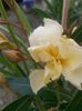 20140618_123026