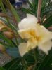 20140618_123029