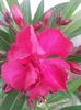 20140618_152328