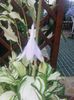 20140618_152630