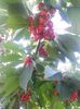 20140619_180733