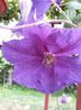 20140621_153635