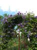 20140621_153716