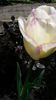 20140426_140849