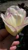 20140426_140855