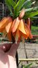 20140426_140908