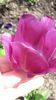 20140426_141054