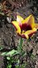 20140426_141106