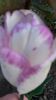 20140427_190929