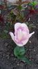 20140427_190940