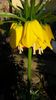 20140427_190952
