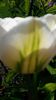 20140429_152909