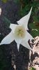 20140430_163540