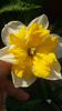 20140503_131815