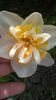 20140503_131820