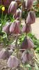 20140503_131851