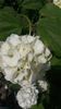 20140503_132025