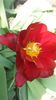 20140503_132057