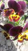 20140503_132143