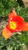 20140503_132211