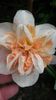 20140505_130006 - Copie