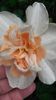 20140505_130019 - Copie