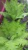 20140505_130108 - Copie