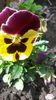 20140505_130248