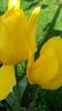20140516_182614