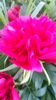 20140519_195541