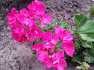 20140709_203020