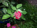 20140710_194659