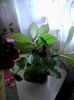 IMG_20140714_135447