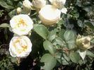 2014-07-08 11.12.53