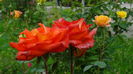 DSC02864