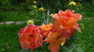 DSC02879