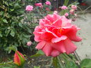 IMG_20140714_114750
