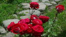 DSC03135