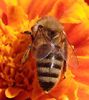 IMG_20140714_104541-001