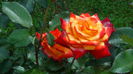 DSC03157