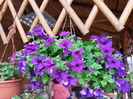 20140510_144732