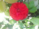 20140629_142517