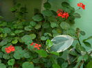 DSCN7503