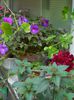 DSCN7505