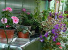 DSCN7522